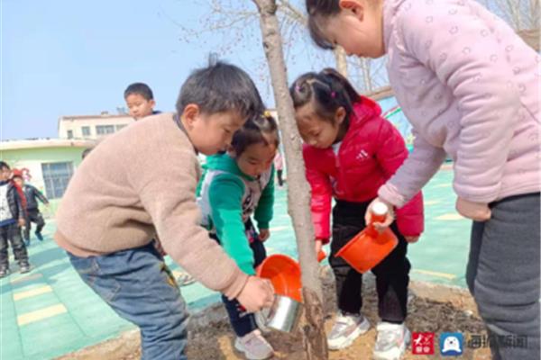 爱护小树苗