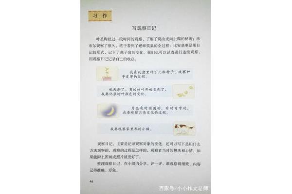 观察日记四年级