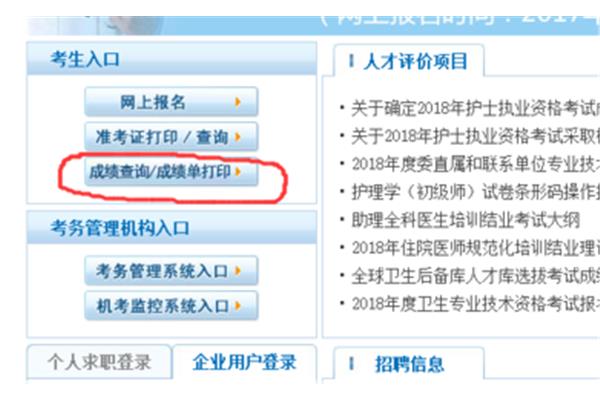 中国卫生人才考试