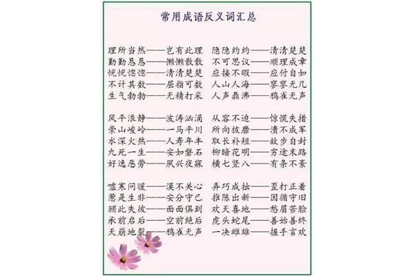 钻研的近义词