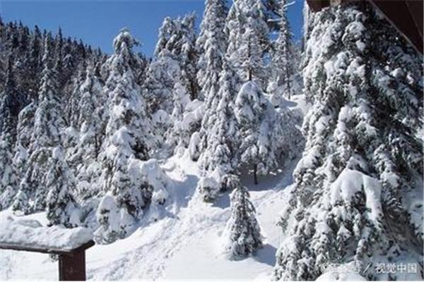 开门雪满山