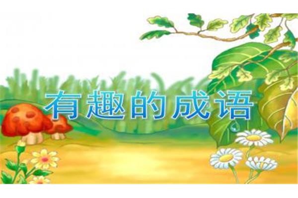 关于树的成语