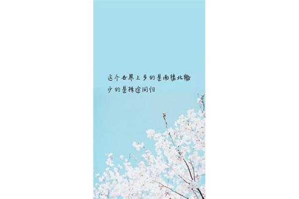 人生哲理句子精辟