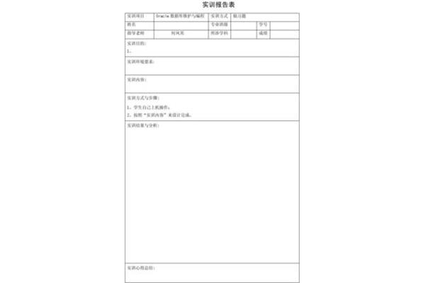 实训报告模板