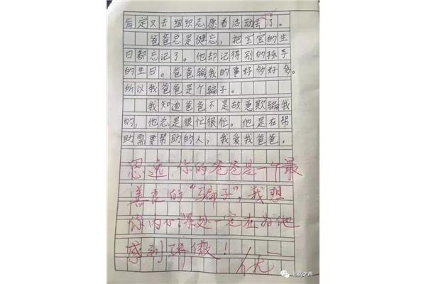 实验作文300字