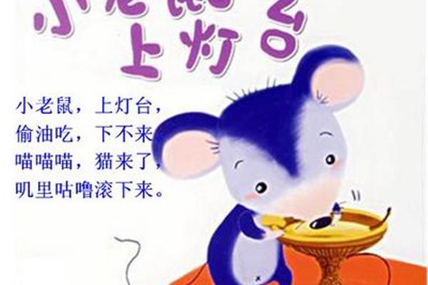小老鼠的故事