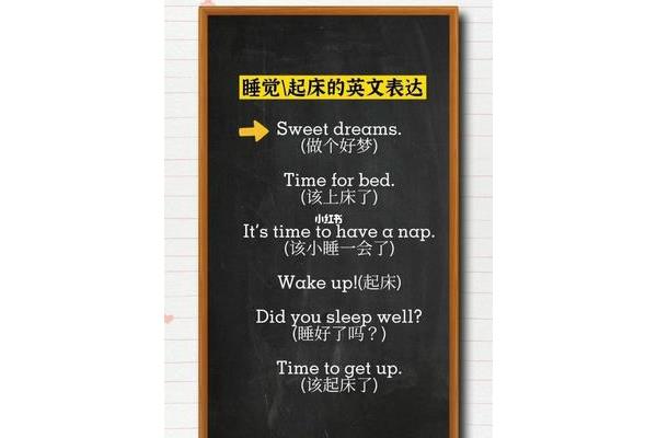 睡觉的英文单词