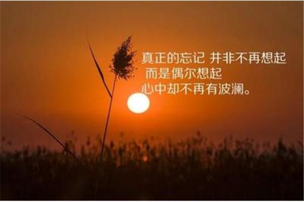 适合风景的句子