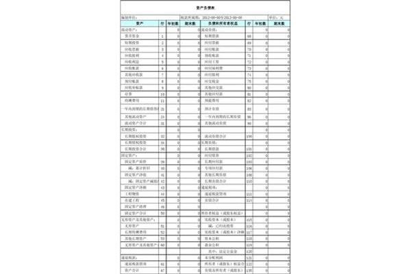 适用会计制度