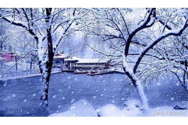 关于雪花的诗句