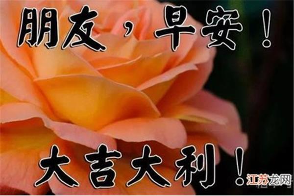 真的感谢你
