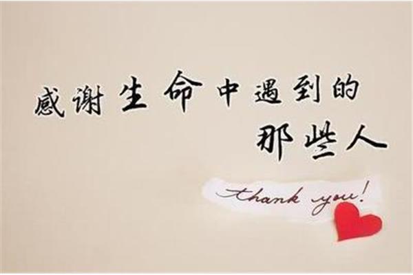 感谢遇见你们