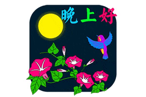 大家晚上好