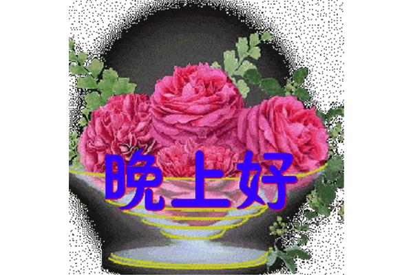 送给你真诚的祝福