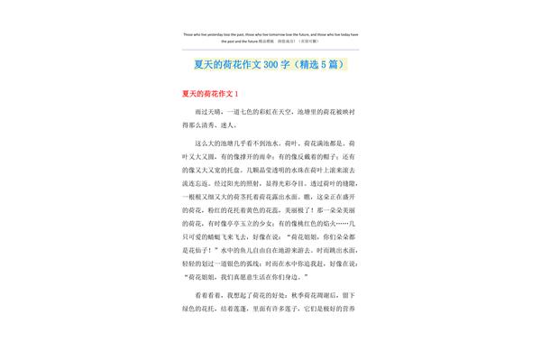 荷花作文300字