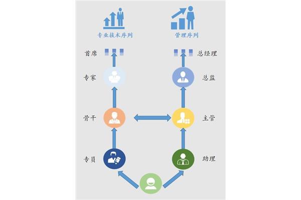 职业发展路径