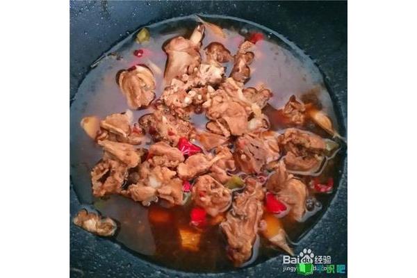 煮鸭肉怎么煮好吃