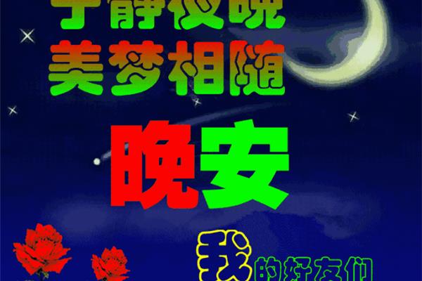 大家晚上好