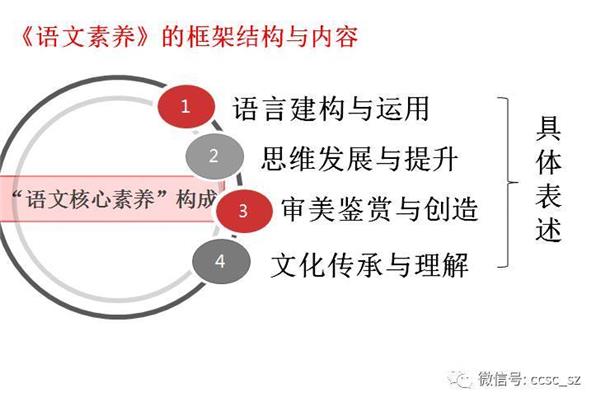 教师核心素养