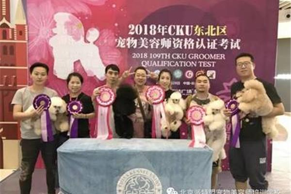 派特盟宠物美容学校