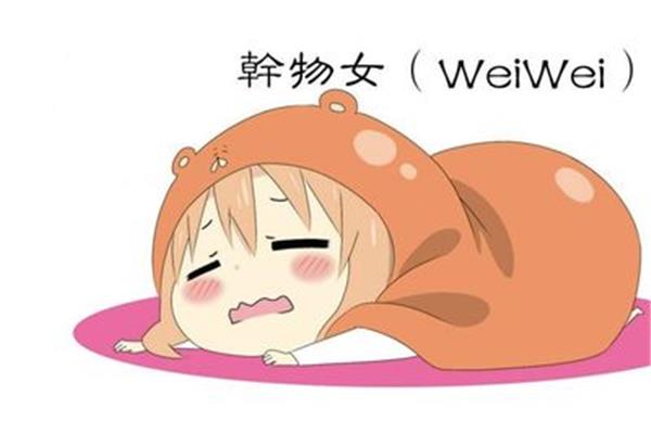 干物女什么意思