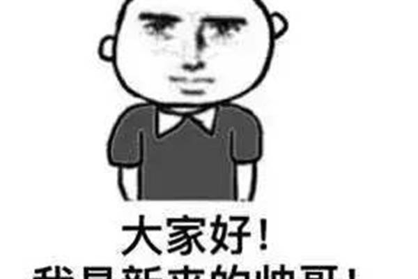 我是新来的