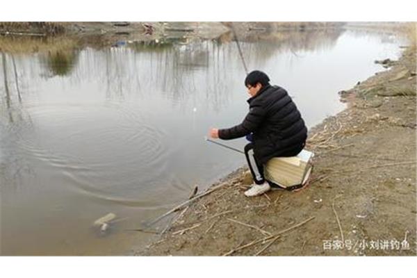 我学会了钓鱼