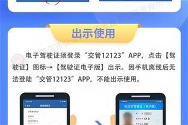 上海启用电子驾照