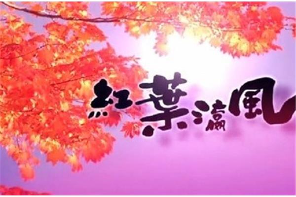 红叶瀛风