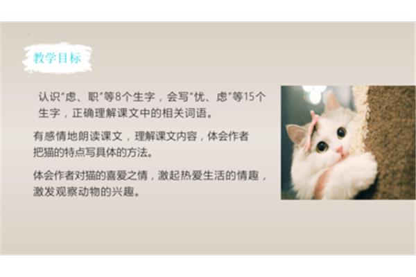 猫是几年级课文