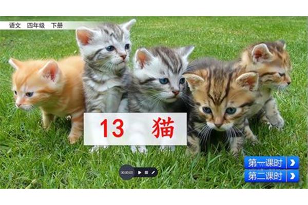 猫是几年级课文