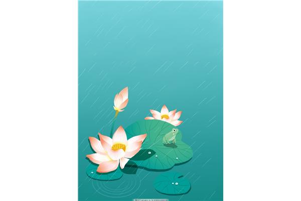 有关荷花的图片