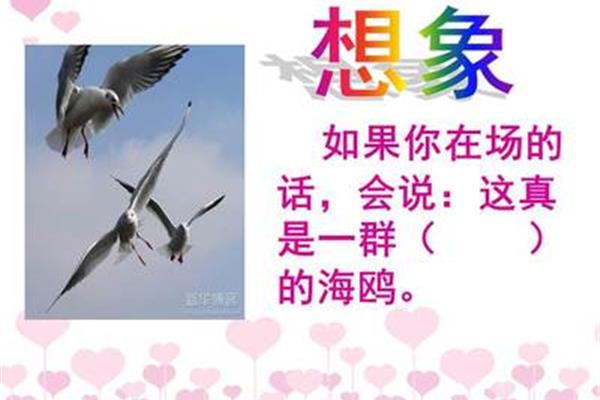 老人与海鸥课件