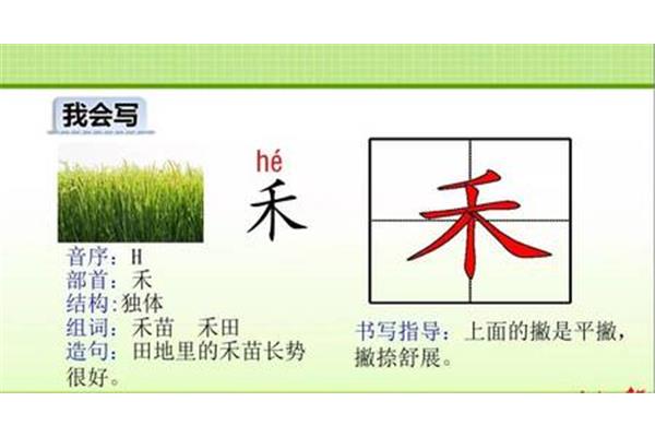 禾的组词一年级
