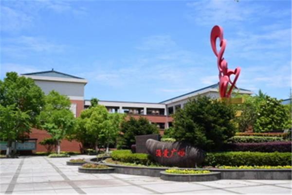 青云实验中学