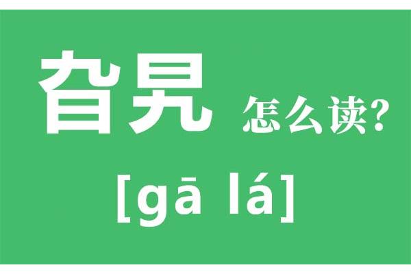 旮旯怎么读