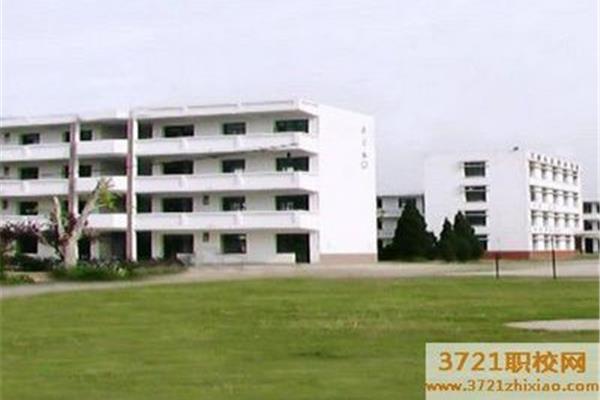 八一中学怎么样