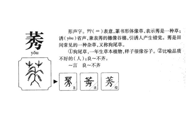 诱字组词