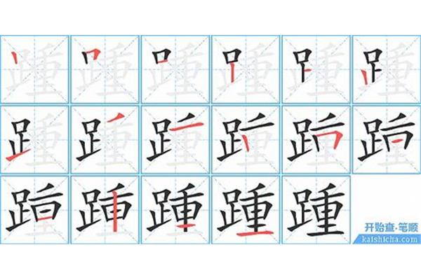 笔顺编号