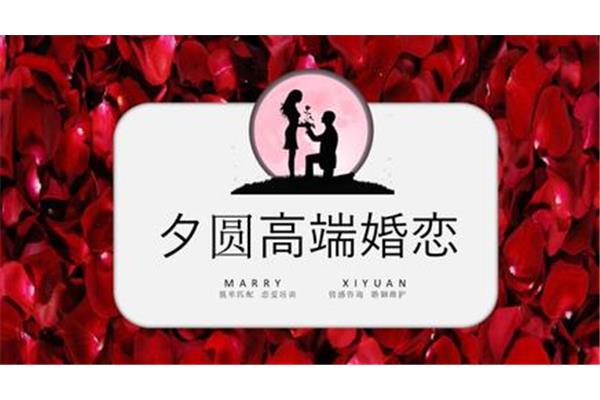 婚姻中介公司怎么开