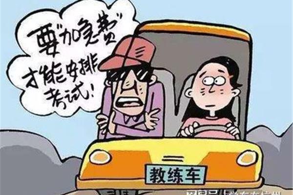 学车要花多少钱