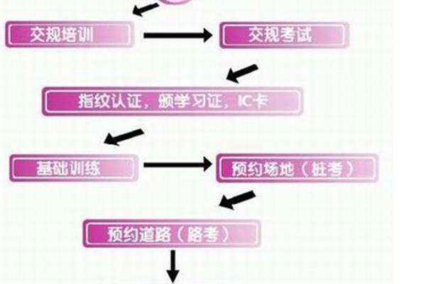 考驾照流程