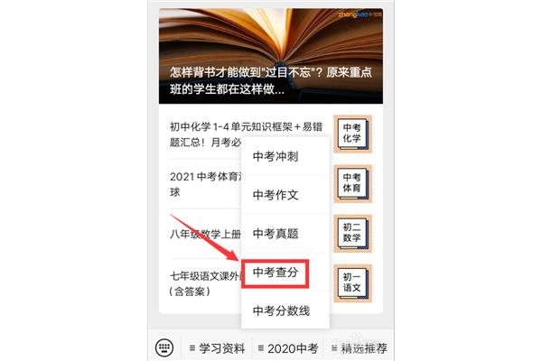 怎么查中考分数