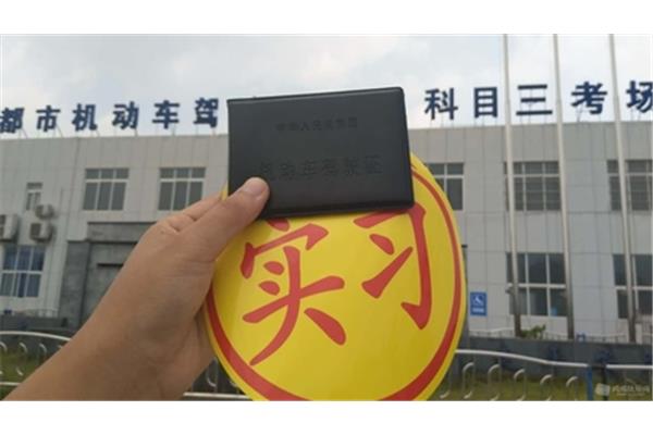 包拿驾照