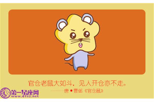 夜不归宿是什么生肖