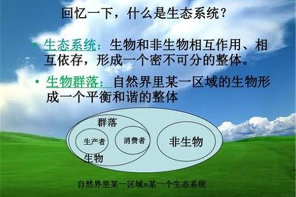 什么是生态平衡