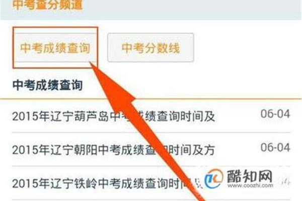 怎么查中考分数