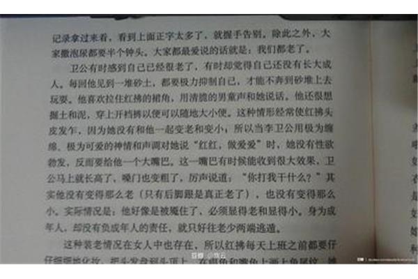 随笔是什么意思啊