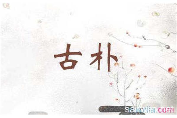淡雅造句
