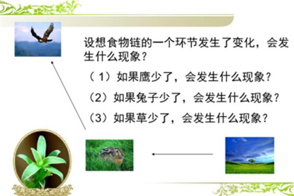 什么是生态平衡